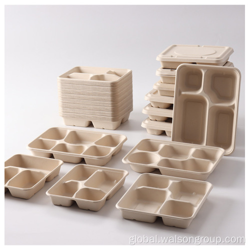 Disposable Sugarcane Bagasse Lunch Box 100% Compostable Sugarcane pulp Lunch Box Supplier